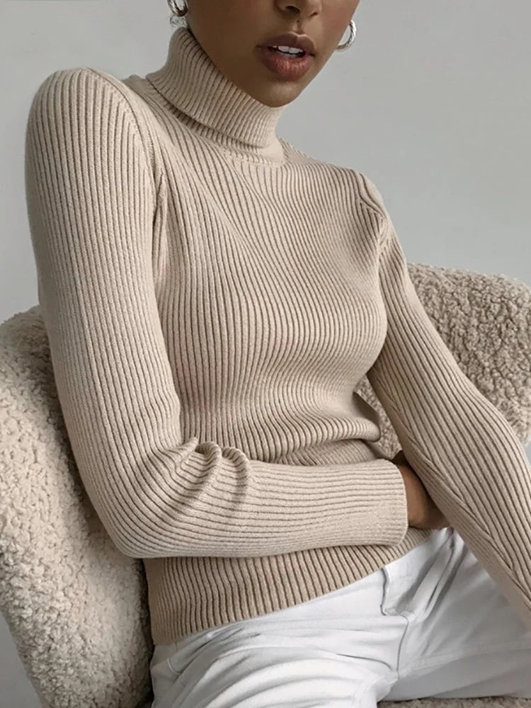 Turtleneck blouse - Winter Essential